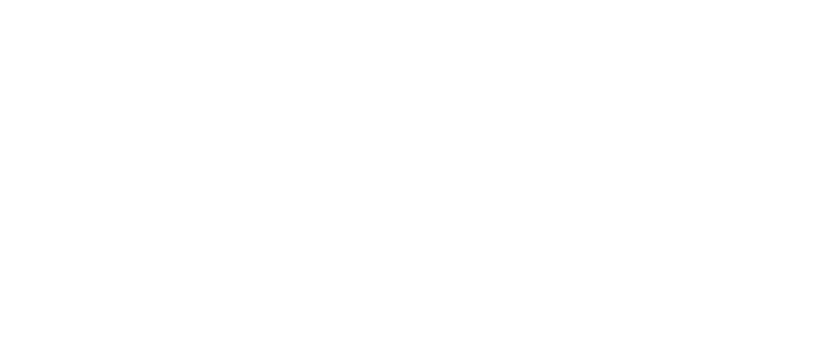 The Spark Foundation